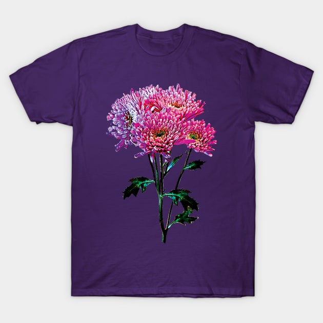 Chrysanthemums - Pink and Lavender Mums T-Shirt by SusanSavad